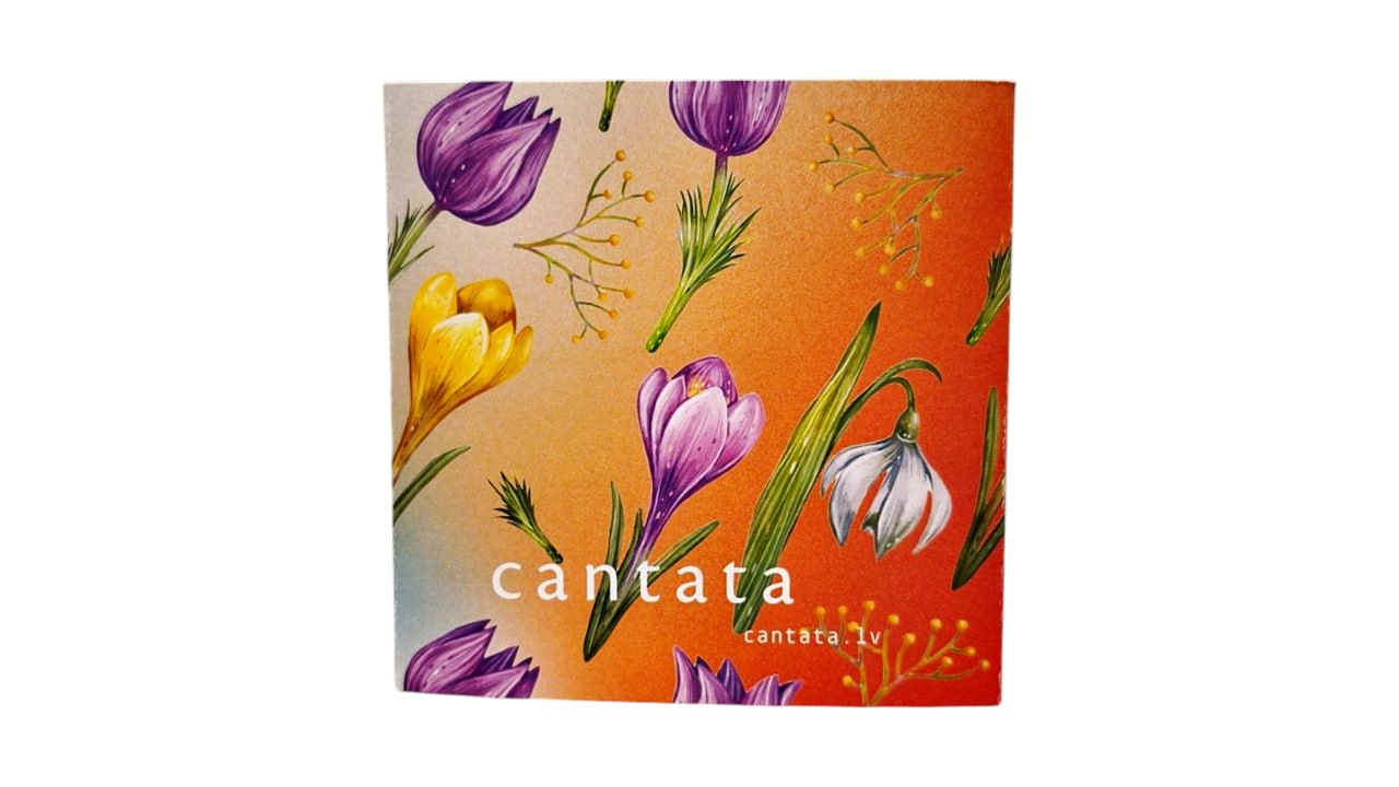 Kohvikingitus "Maitsete vikerkaar"